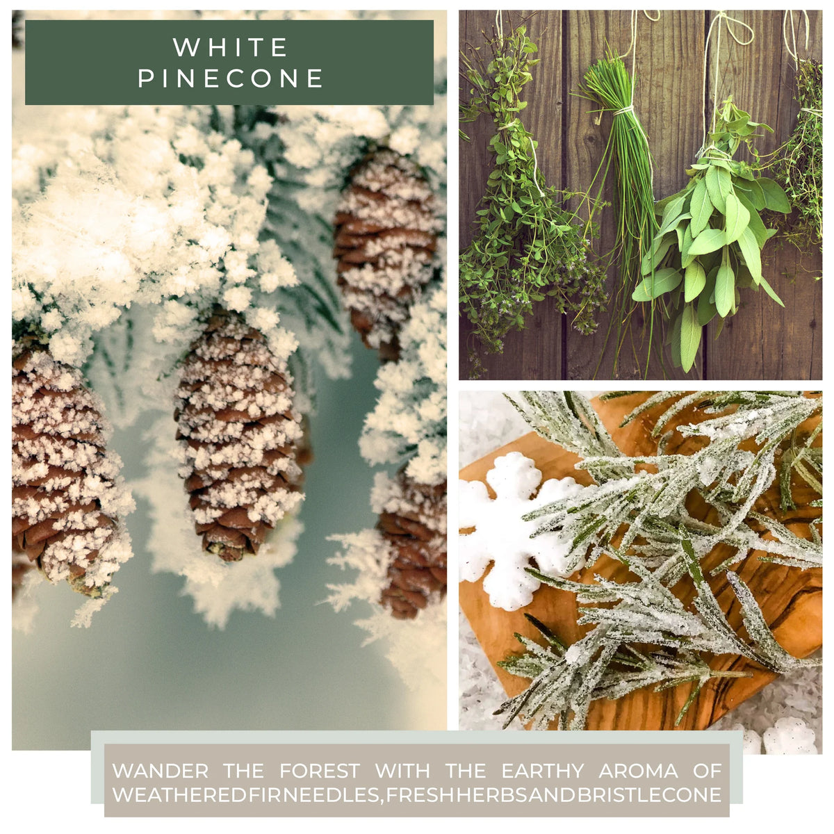 White Pinecone - 34 oz Papa Candle