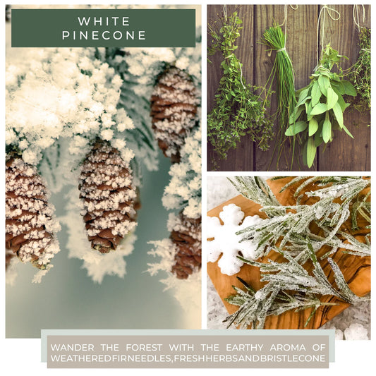 White Pinecone - 34 oz Papa Candle