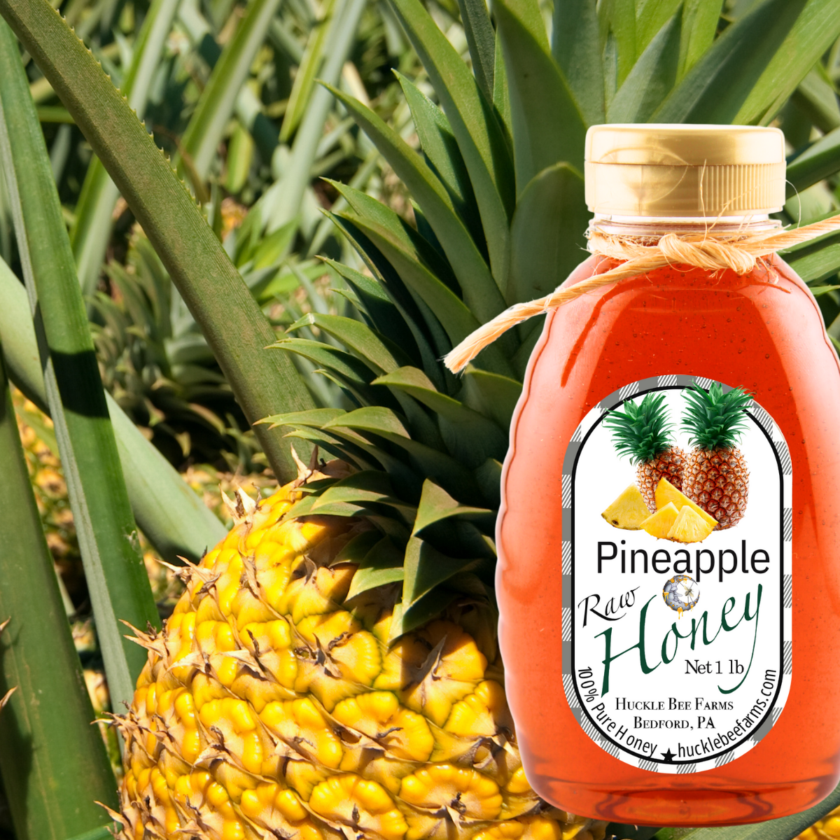 Pineapple Infused Raw Honey: 1 lb Bottle