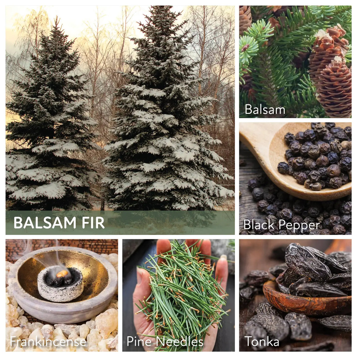Balsam Fir - 34oz