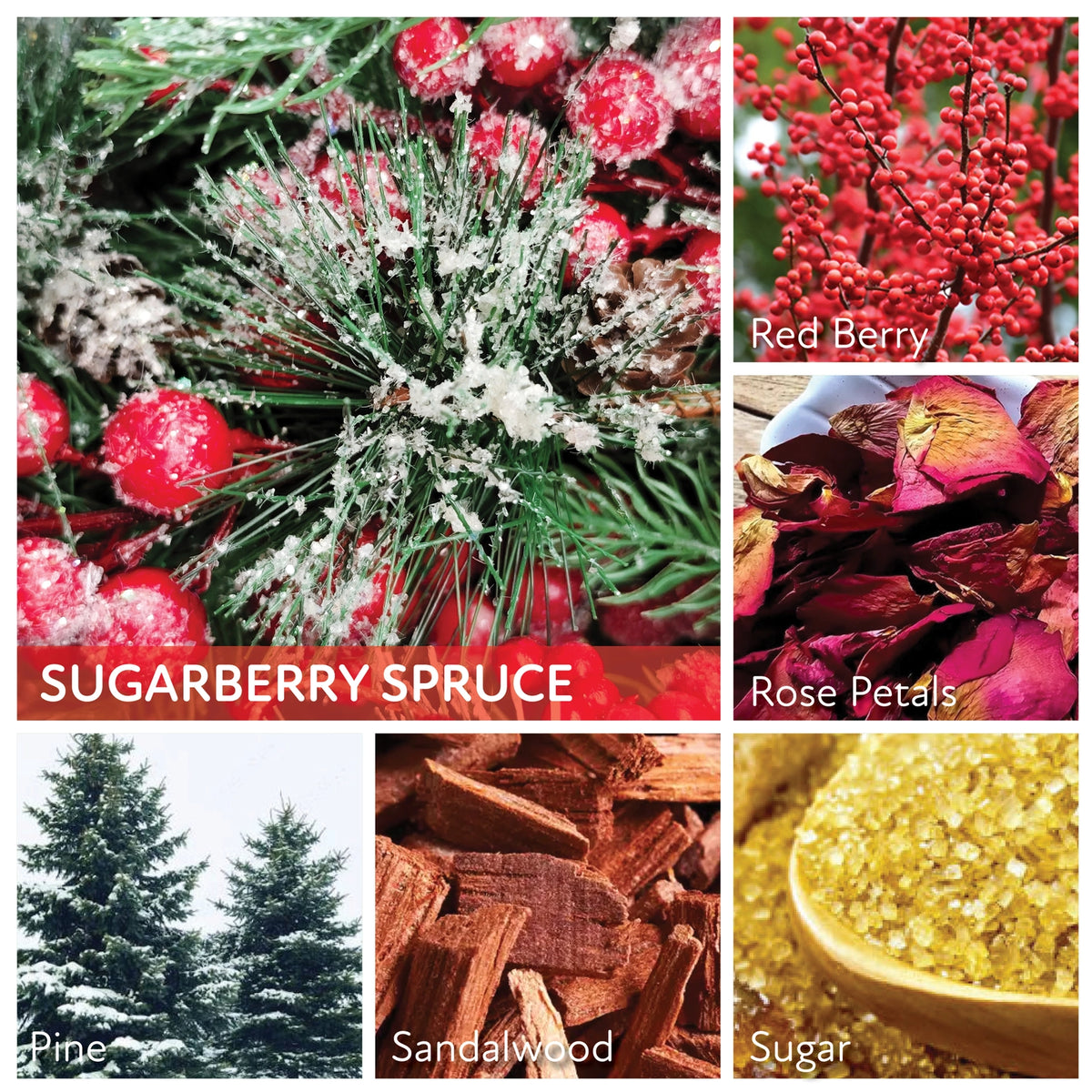 Sugarberry Spruce - 34oz