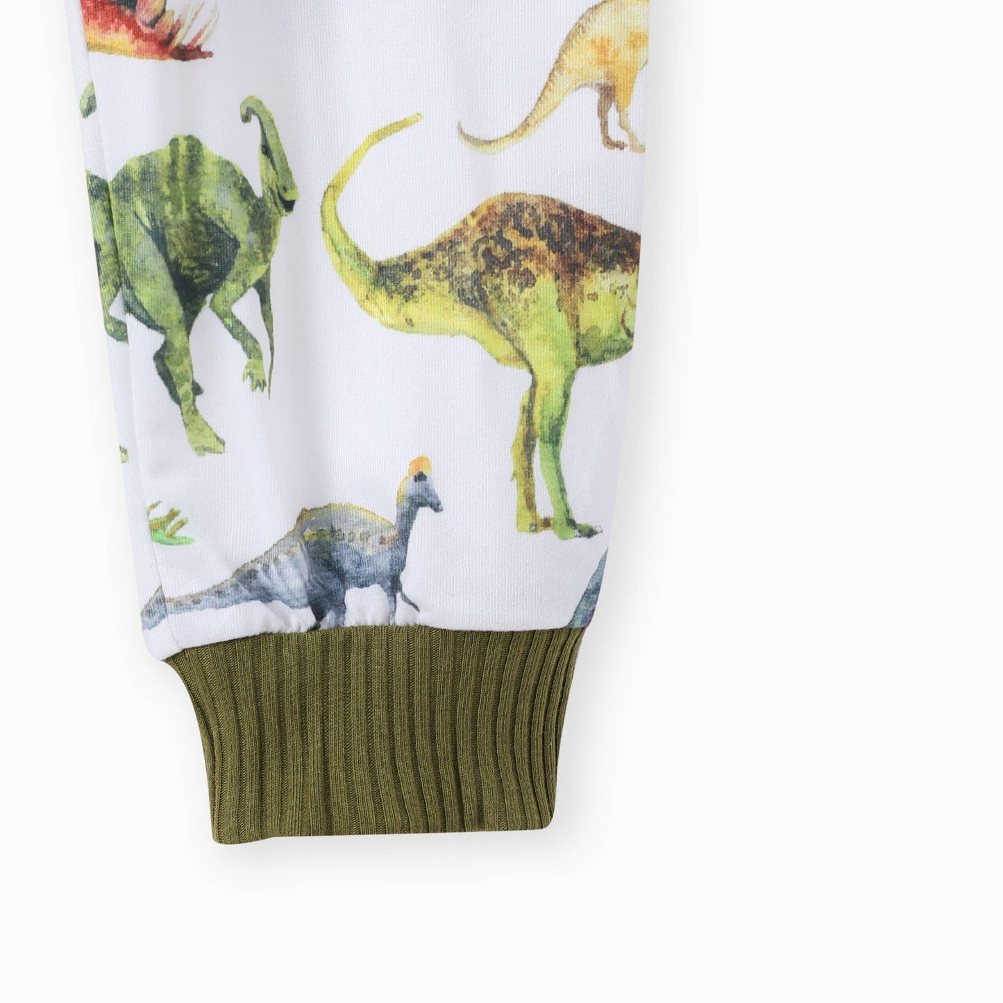 2pcs Baby Boy Solid Cotton Pullover and Dinosaur Pants Set: Green / 6-9 Months