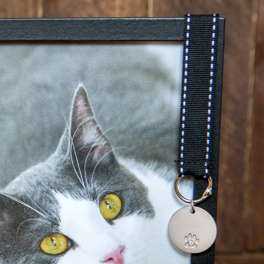 "Pawprints Left By You" Pet Memorial Photo Frame - Cat, photo 2 of 5