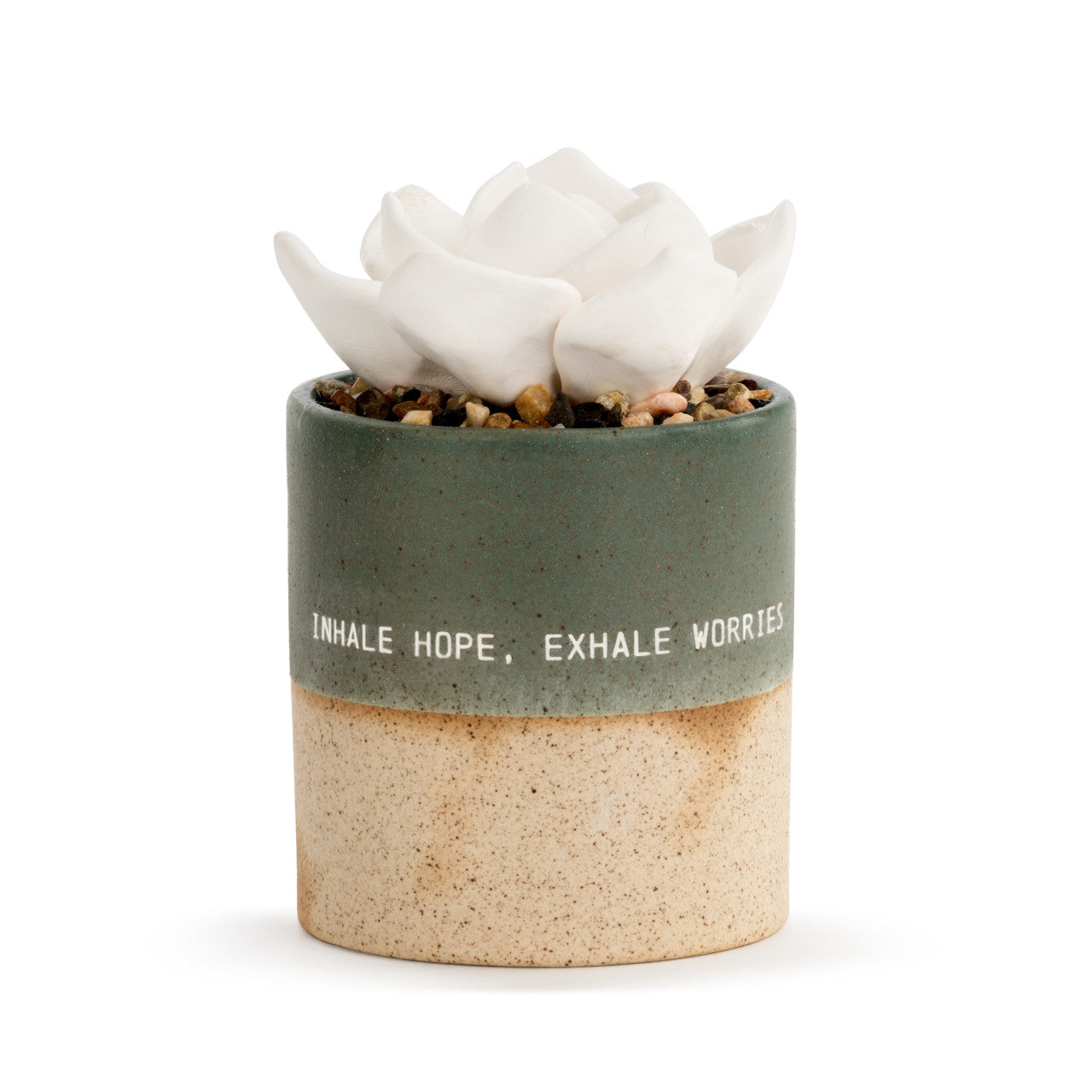 Succulent Oil Diffuser - Hope
