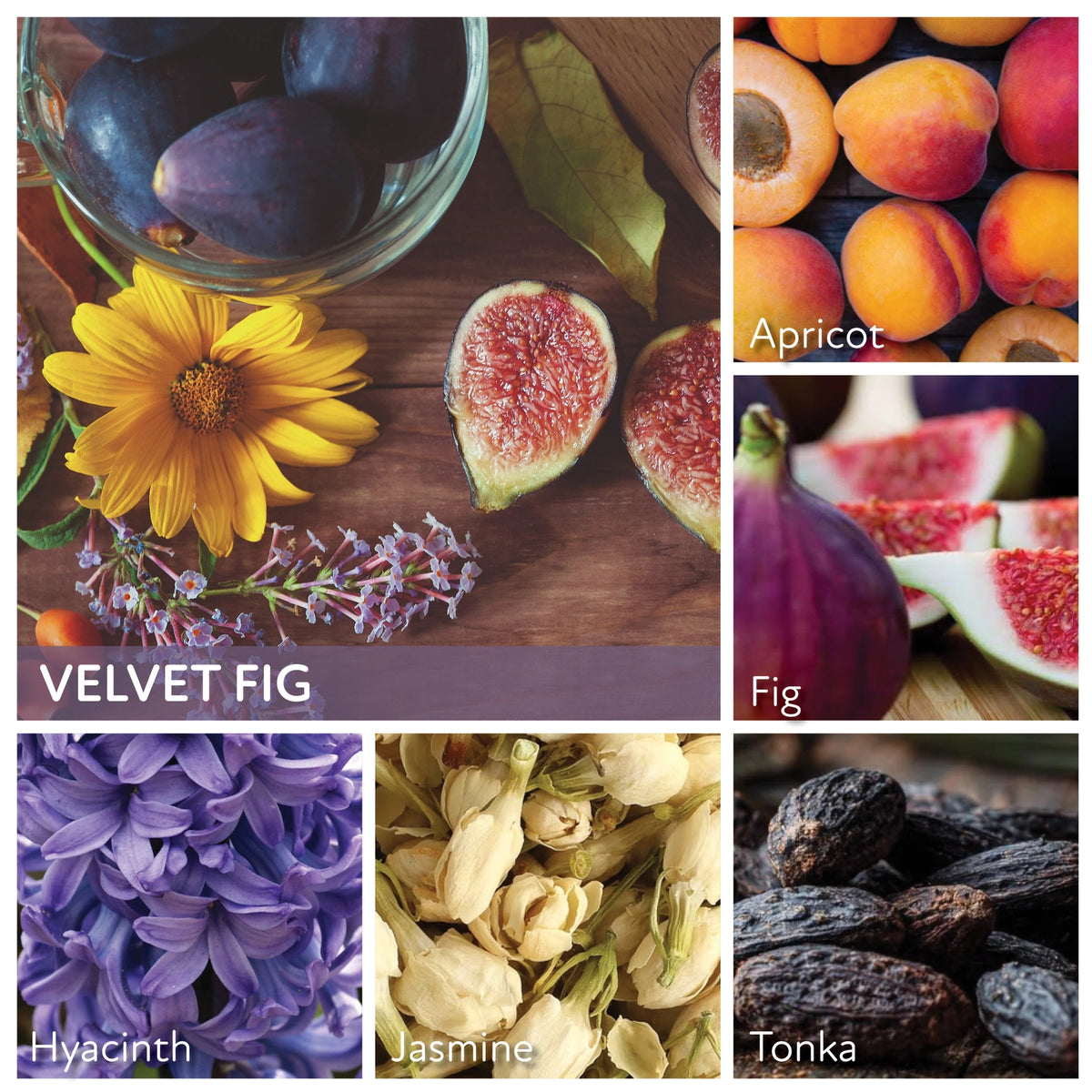Velvet Fig - 34oz