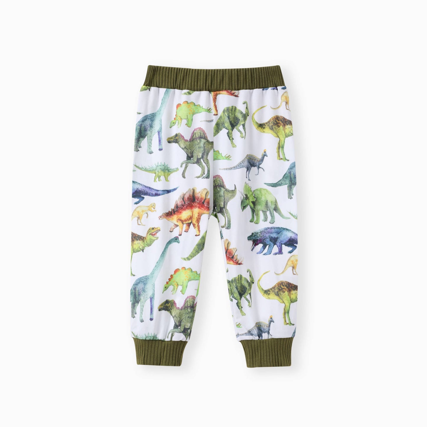 2pcs Baby Boy Solid Cotton Pullover and Dinosaur Pants Set: Green / 6-9 Months