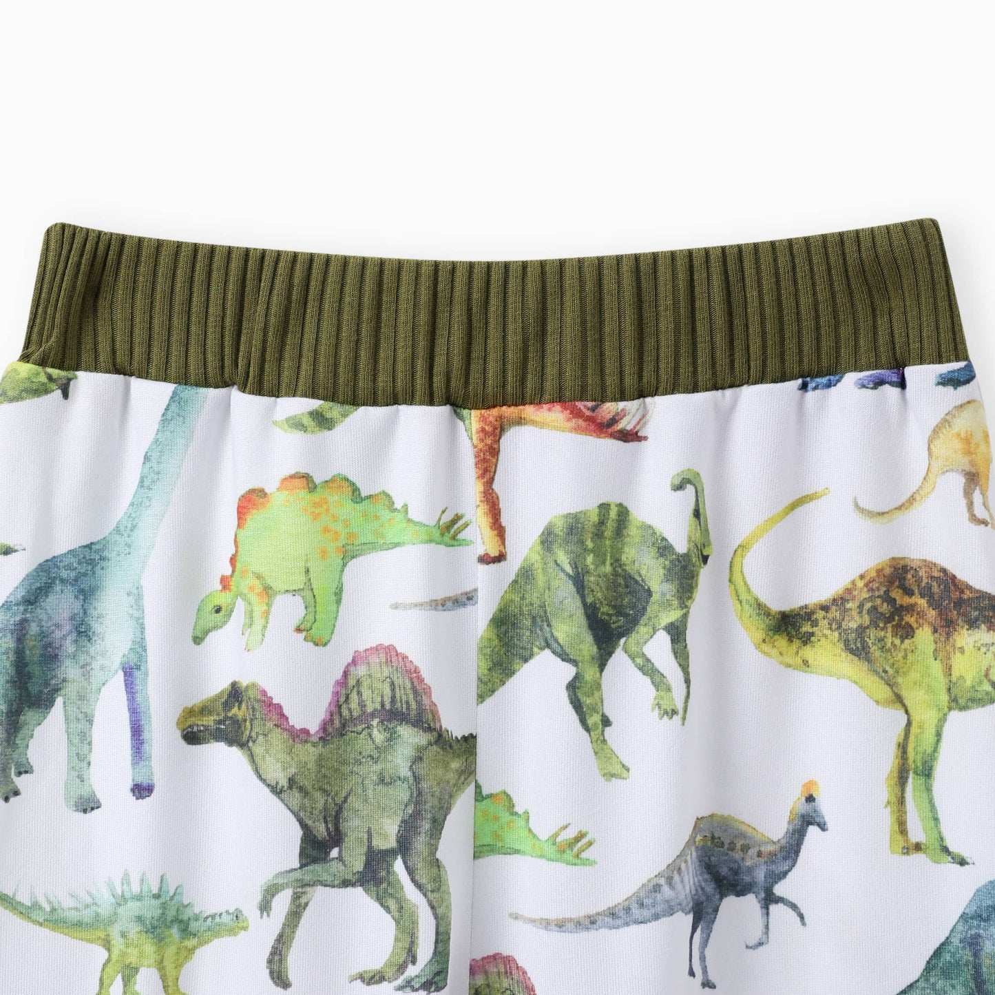 2pcs Baby Boy Solid Cotton Pullover and Dinosaur Pants Set: Green / 9-12 Months