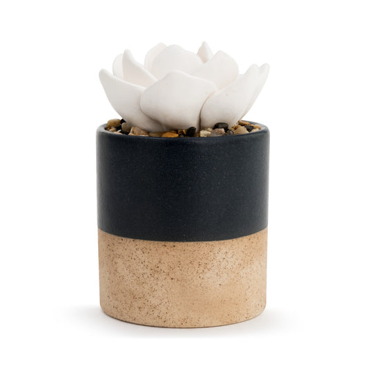 Midnight Navy Two-Toned Succulent Oil Diffuser