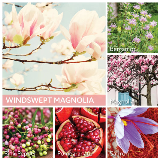 Windswept Magnolia 34 oz Jar Candle - A Cheerful Giver, photo 2 of 2
