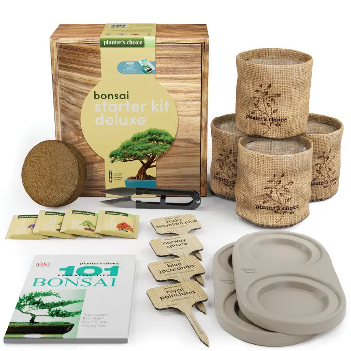 Bonsai Tree Growing Kit - Grow 4 Varieties, photo 6 of 9