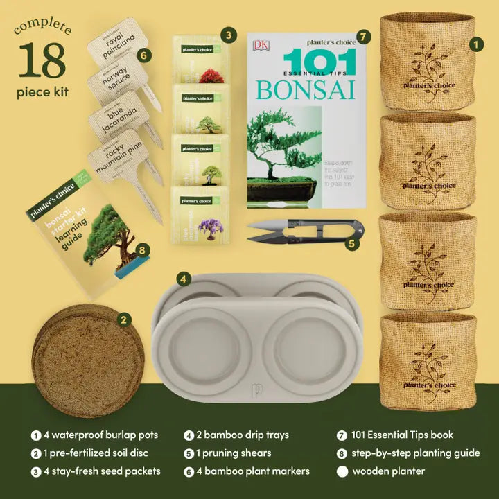 Bonsai Tree Growing Kit - Grow 4 Varieties, photo 7 of 9