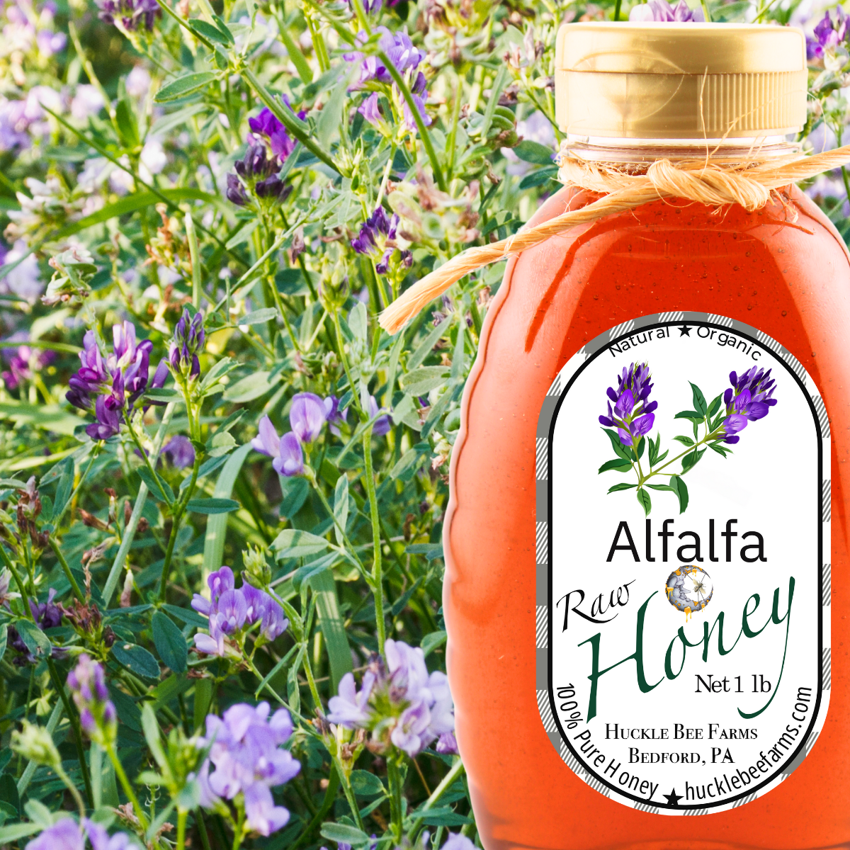 Raw Alfalfa Honey: 1 lb Bottle