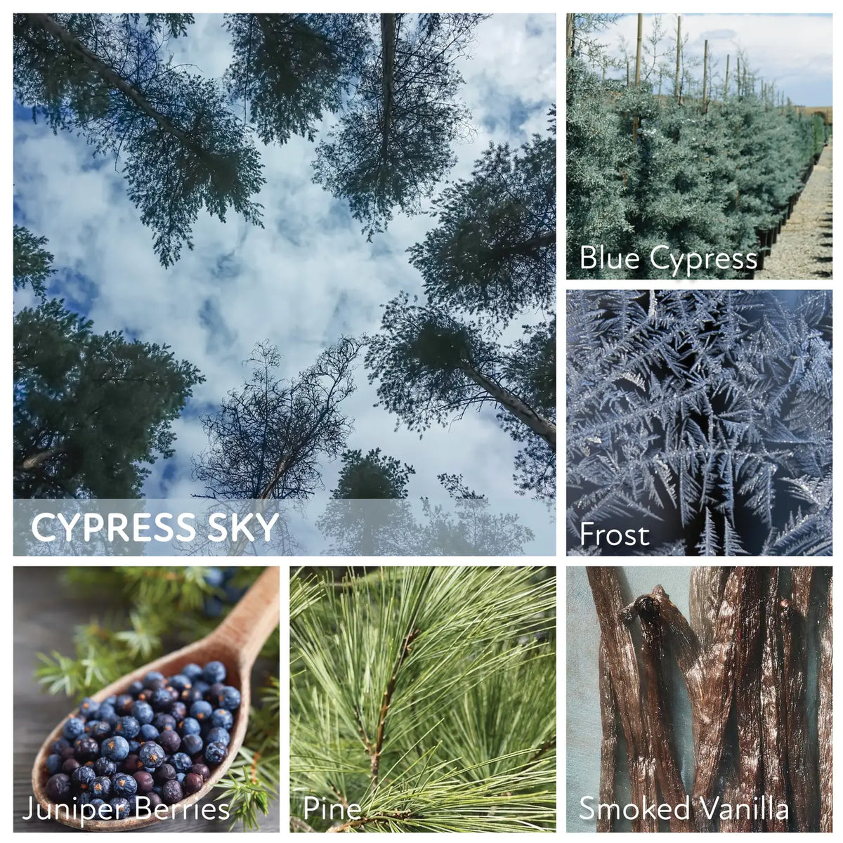 Cypress Sky - 34oz