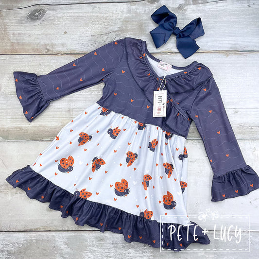 In Love With Ladybugs Dress 12-18mos