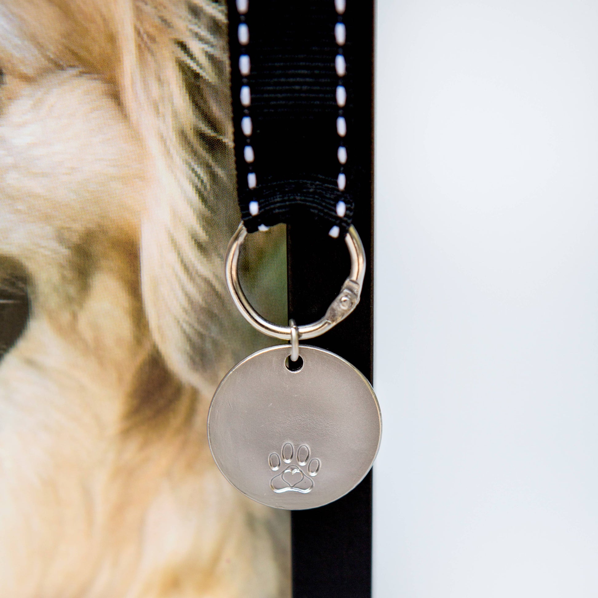 "Pawprints Left By You" Pet Memorial Photo Frame - Dog, photo 2 of 5
