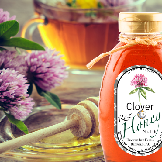Raw Clover Honey - 1 lb, photo 2 of 2